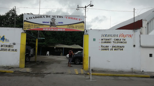 Lavadora De Autos "correa"